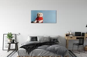 Obraz na plátne sediaci mačka 100x50 cm