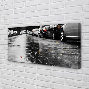 Obraz canvas Car jesenné lístie cesty 100x50 cm