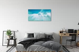 Obraz canvas Vodné kvapky makro 100x50 cm