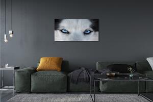 Obraz na plátne wolf Eyes 100x50 cm