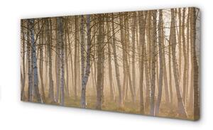 Obraz canvas Sunrise strom les 100x50 cm