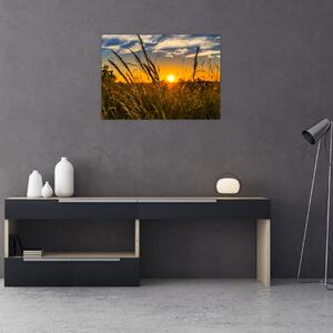 Obraz pole pri západe slnka (70x50 cm)