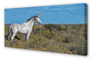 Obraz na plátne Unicorn Golf 100x50 cm