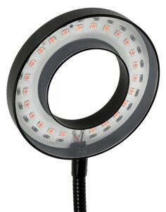 LED stolná lampa s klipom pre pestovanie VITARO 2xLED/4W/230V čierna