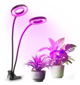 LED stolná lampa s klipom pre pestovanie VITARO 2xLED/4W/230V čierna