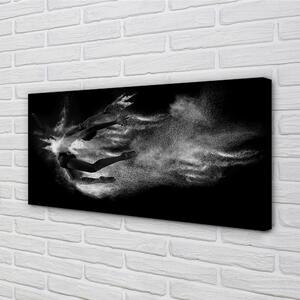 Obraz canvas Žena baletné dymové šedé pozadie 100x50 cm