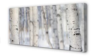 Obraz canvas Stromy v zime sneh 100x50 cm