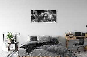 Obraz canvas Dámska Balerínky dym 100x50 cm