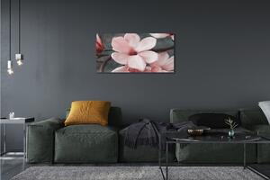 Obraz canvas ružové kvety 100x50 cm