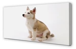 Obraz na plátne Sediaci malého psa 100x50 cm