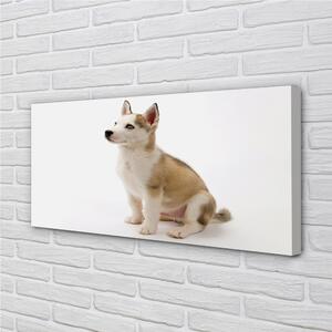 Obraz na plátne Sediaci malého psa 100x50 cm