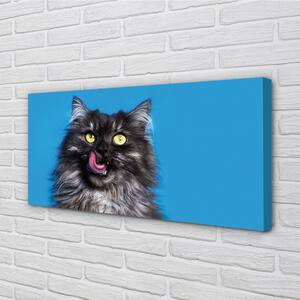 Obraz na plátne Oblizujący mačka 100x50 cm