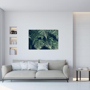 Obraz listov papradí (90x60 cm)