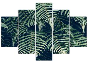 Obraz listov papradí (150x105 cm)
