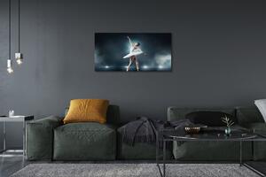 Obraz canvas Biely balet šaty žena 100x50 cm
