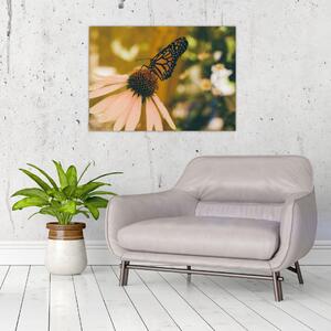 Obraz motýľa na kvetine (70x50 cm)