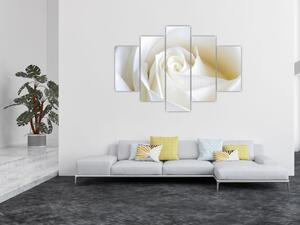 Obraz biele ruže (150x105 cm)