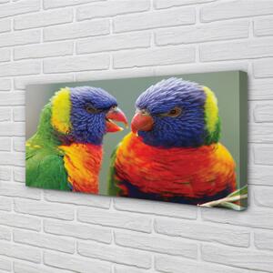 Obraz na plátne farebný papagáj 100x50 cm