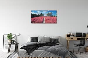 Obraz canvas Terénu prales vresy 100x50 cm