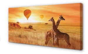 Obraz canvas Balóny neba žirafa 100x50 cm