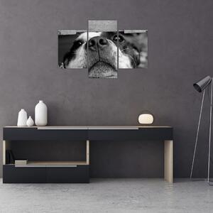 Obraz psa (90x60 cm)