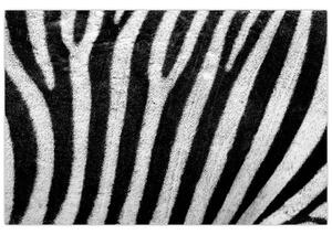 Obraz kože zebry (90x60 cm)
