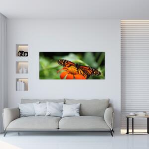 Obraz motýľa na kvetine (120x50 cm)