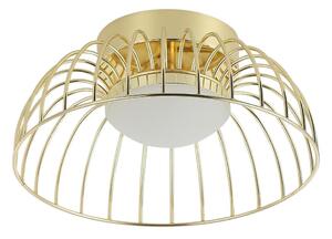 LED stropné svietidlo BETSY LED/12W/230V pr. 25 cm zlaté