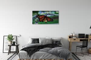 Obraz na plátne Motýľ na kvetine 100x50 cm