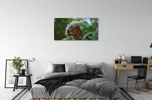 Obraz na plátne Kvet farebný motýľ 100x50 cm