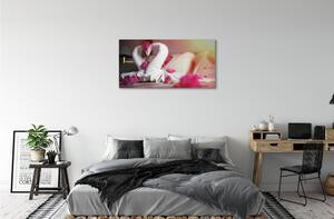 Obraz canvas Uteráky labute kvety 100x50 cm