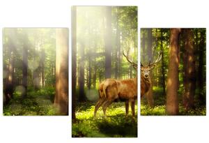 Obraz jeleňa v lese (90x60 cm)