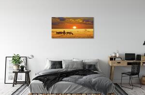 Obraz canvas Zebra západ mraky 100x50 cm
