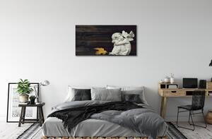 Obraz na plátne Spacie angel listy board 100x50 cm
