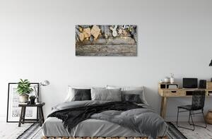 Obraz na plátne Vetvičky darčeky kužele 100x50 cm