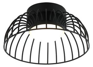 LED stropné svietidlo BETSY LED/12W/230V pr. 25 cm čierne