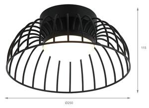 LED stropné svietidlo BETSY LED/12W/230V pr. 25 cm čierne