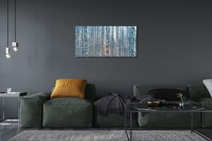 Obraz canvas Brezového lesa pri západe slnka 100x50 cm