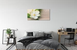 Obraz canvas biela magnólia 100x50 cm