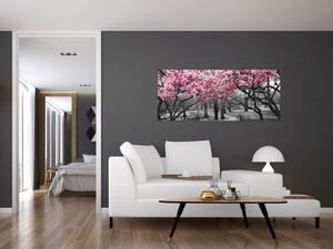 Obraz stromov Magnólie (120x50 cm)
