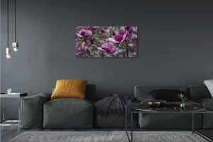 Obraz canvas fialové magnólia 100x50 cm