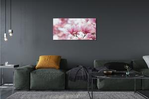 Obraz canvas magnólia strom 100x50 cm