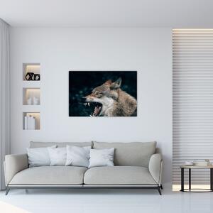 Obraz vlka (90x60 cm)