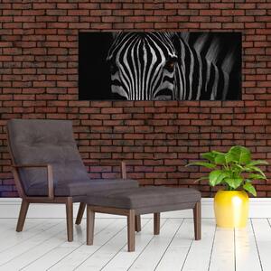 Obraz zebry (120x50 cm)