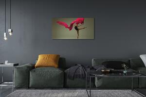 Obraz canvas Baletka ružová Materiál 100x50 cm