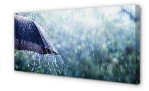 Obraz canvas Umbrella dažďovej kvapky 100x50 cm