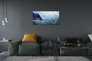 Obraz canvas Umbrella dažďovej kvapky 100x50 cm