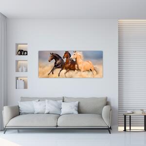 Obraz - Divé kone (120x50 cm)