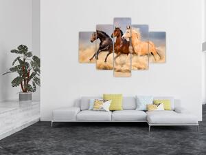 Obraz - Divé kone (150x105 cm)