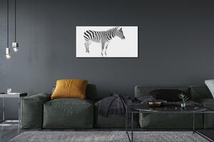 Obraz na plátne maľované zebra 100x50 cm